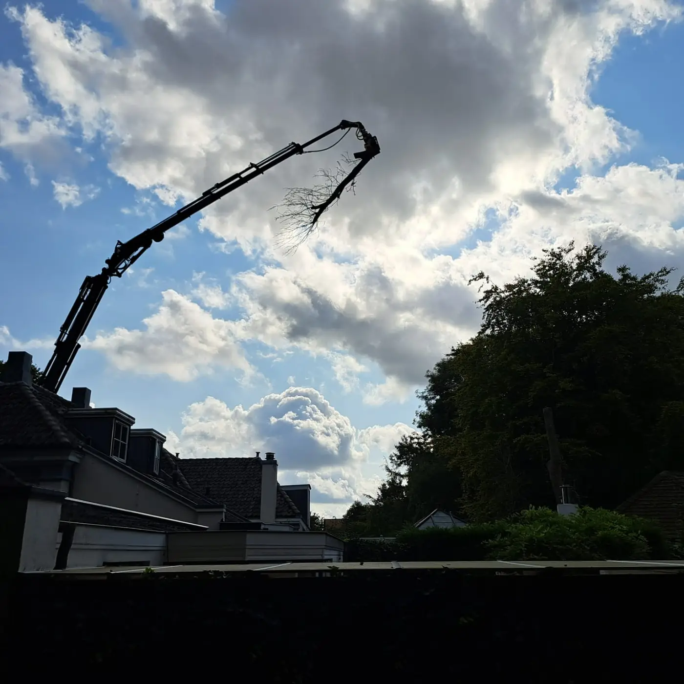Kraan met giek tilt een boomdeel over de daken heen in een woonwijk