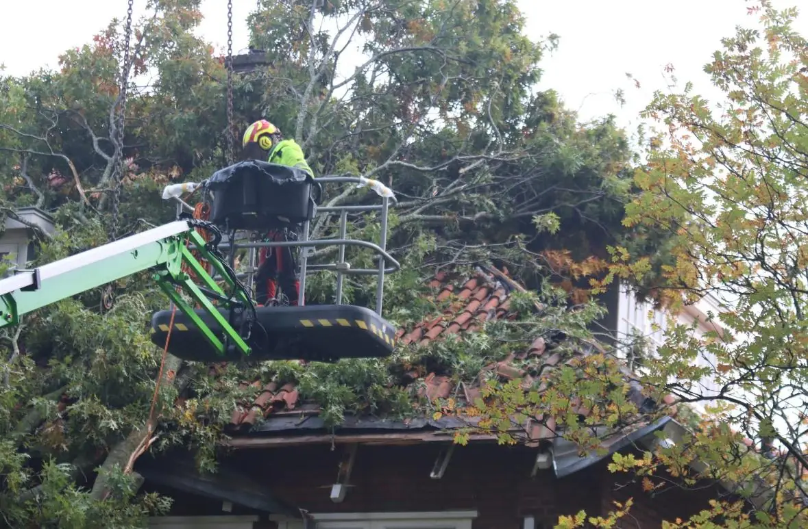 Hoogwerker boven een dak dat beschadigd is door een omgewaaide boom